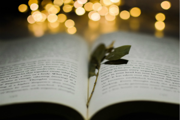 泰国留学一年的学费是多少？