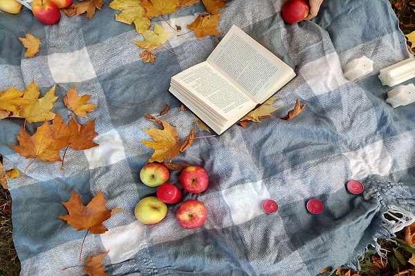 高中学生留学或高考，如何选择？