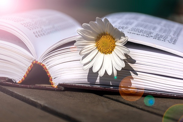 留学美国遭遇语言霸凌要在20秒内回击是怎么回事